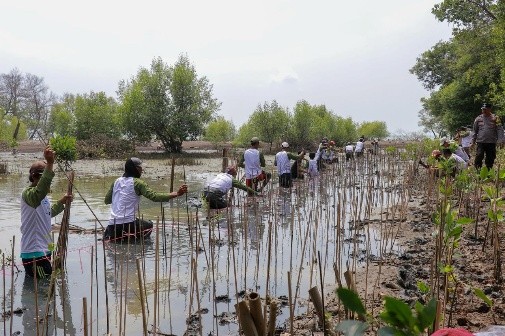 Greening Movement 